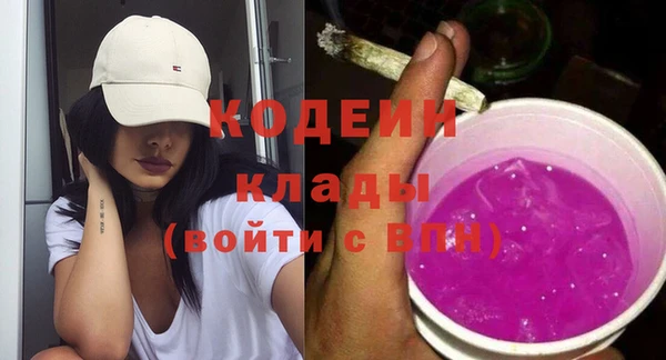 прущие грибы Тавда