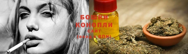 гидропоника Горно-Алтайск