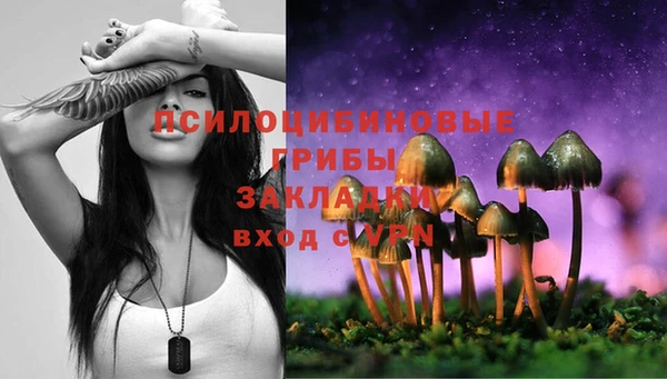 гидропоника Горно-Алтайск