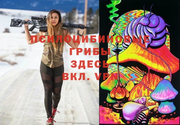 гидропоника Горно-Алтайск