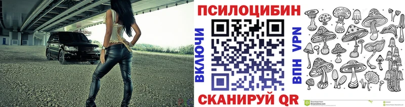 Галлюциногенные грибы Psilocybe  магазин    Цоци-Юрт 