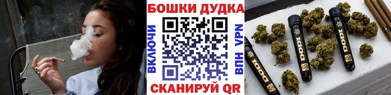 гидра ссылка  Цоци-Юрт  сайты даркнета формула  Конопля сатива 